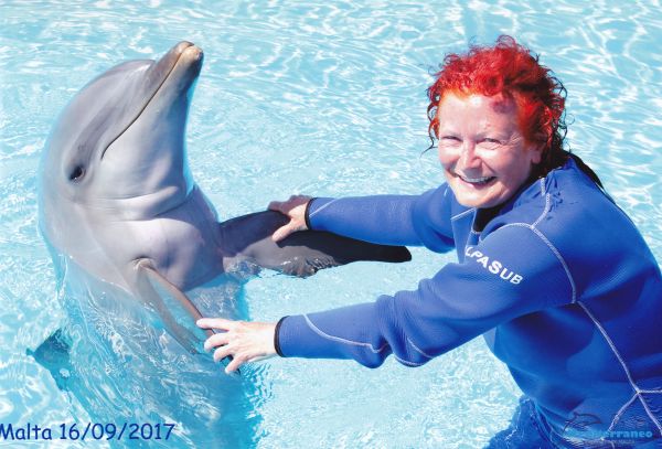 Madeleine simmar med delfiner