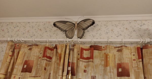 Fjärilsrummet